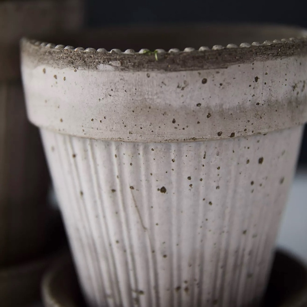 Bergs Gray 6” Simona Terracotta Planter with Saucer - Picture 7 of 7